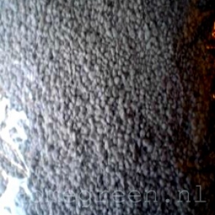 Perlite 10 Litre